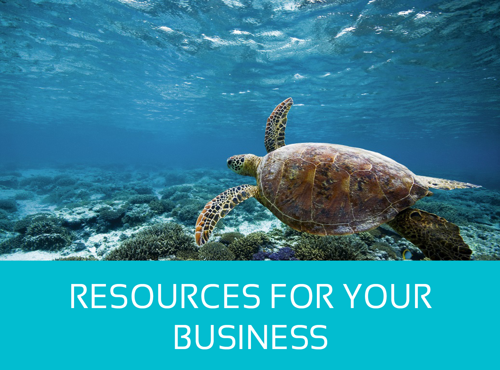 Resources for Your
Business